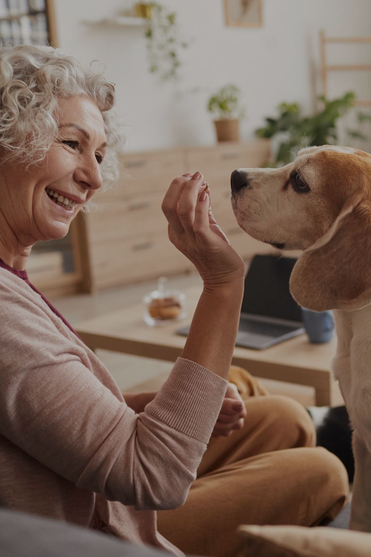 A woman gently pets a dog while sitting on a cozy couch, showcasing a moment of affection and companionship